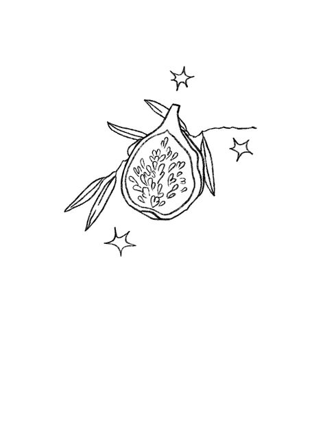 Simple Pomegranate Drawing, Maypole Tattoo, Simple Fig Tattoo, Fig Leaf Illustration, Pomegranate Line Drawing, Simple Pomegranate Tattoo, Fig Drawing Simple, Simple Olive Branch Tattoo, Fig Doodle