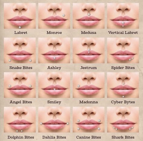 Peircings Women Names, Body Piercing Knowledge, Piercings With Names, Peircings Name Chart, Lip Piercing Names, Different Kinds Of Piercings, Piercing Names, Ear Piercing Names, Oni Girl