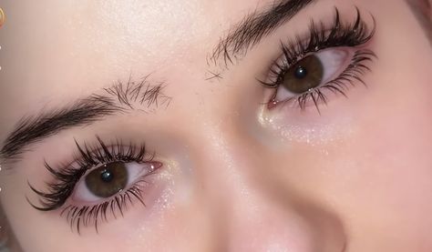 Aesthetic Long Lashes, Thick Long Eyelashes Natural, Lash Extensions Alternative, Long Healthy Eyelashes, Thick Eyelashes Aesthetic, Doe Eyes Eyelashes, Brown Eye Lash Extensions Styles, Pretty Natural Lashes, Long Curly Lashes Natural