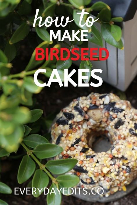 Birdseed Cakes, Bird Seed Cakes, Bird Seed Crafts, Suet Recipe, Bird Suet, Suet Cakes, Bird Seed Ornaments, Karo Syrup, Bird Treats