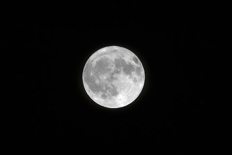 Free photo landscape shot of a white ful... | Free Photo #Freepik #freephoto #full-moon #moon-light #night-moon #moon-sky Eclipse Lunar, Black Colour Background, Interesting Science Facts, Orange Moon, Moon Images, Background Light, Bike Photography, Bare Tree, Sky Full Of Stars