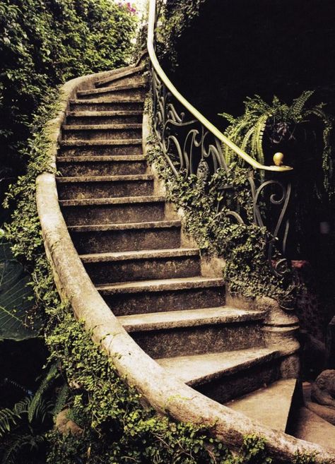 40 Cool Garden Stair Ideas For Inspiration - Stairs - Garden / Yard Garden Stairs, Toscana Italia, Take The Stairs, Purple Home, The Secret Garden, Stairway To Heaven, Garden Paths, Dream Garden, Abandoned Places