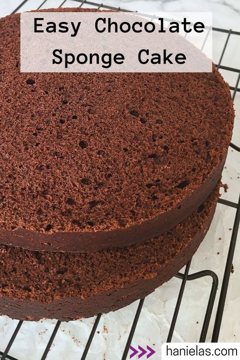 Sliced chocolate cake on a cooling rack. Cake Batter, Sponge Recipe, Chocolate Sponge Cake, Best Carrot Cake, Sponge Cake Recipes, Chocolate Sponge, A Picnic, Easy Chocolate, Sponge Cake