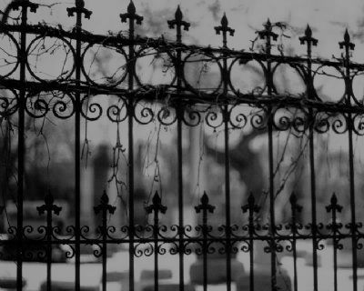 , Rod Iron Fences, Ghost Caught On Camera, Garden Trellis Fence, Dream Escape, Victoria Station, Southern Gothic, Iron Fence, Iron Gates, Iron Gate