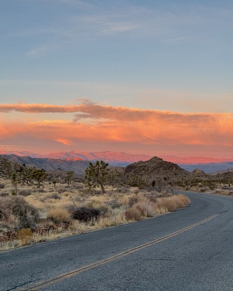 sunrise at Joshua Tree National Park ☀️💛🌞✨ #california #sunrise #nationalpark #joshuatree #travel #happy #friends #roadtrip Joshua Tree Aesthetic, Friends Roadtrip, California Sunrise, State Parks Usa, Usa Aesthetic, Joshua Trees, Usa Nature, California Roadtrip, California Nature