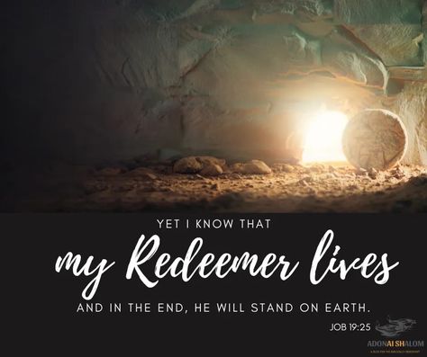 my Redeemer Lives Job I Know My Redeemer Lives, Kinsman Redeemer, Passover Meal, Poor You, My Redeemer Lives, Passover Seder, Womens Bible Study, The Resurrection, Hebrew Words