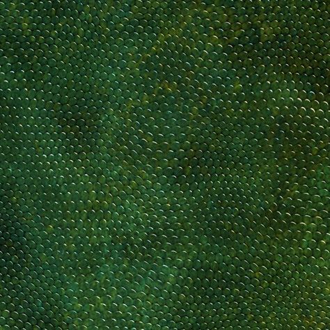 reptiles skin texture, texture skin reptile, lizard, snakes, frog, snake, snake skin, background Reptile Background, Skin Background, Skin Color Tattoos, Skin Anatomy, Texture Skin, Skin Diet, Reptile Skin, Skin Remedies, Skin Texture