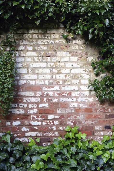 Ivy Brick Wall -To order this backdrop go to www.backdropscanada.ca Brick Wall With Plants, Earthy Industrial, Brick Wall Backdrop, Mini Printables, Brick Wall Texture, Ivy Wall, Garden Tattoos, Old Brick Wall, Red Brick Wall