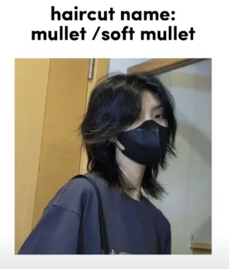 Korean Haircut Wolfcut, Japanese Wolfcut, Mullet Front View, Soft Mullet Short, Soft Mullet Haircut, Wolfcut Mullet, Soft Mullet, Straight Thick Hair, Korean Mullet