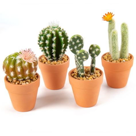 PRICES MAY VARY. 【Realistic Faux Cactus Plants】: Our artificial cactus are cute and unique , an eye-catching flower blooms on each mini cactus, the roots are covered in small rocks, it has natural look, lifelike color and soft touch, which is hardly to distinguish between it and other small artificial plants 【Premium Material】:These faux succulents are made of high quality PU material, the flower and the spines of the cactus plant are made of plastic, its spines are soft and it won't hurt your h Frog Bathroom, Succulents In Pots, Fake Cactus, Cowboy Frog, Fake Potted Plants, Artificial Cactus, Tabletop Shelf, Cactus Plant Pots, Faux Cactus