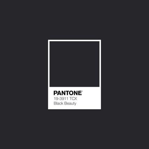 Download Free Adobe Illustrator Palette in .ase • #pantone #colortheory #colorwheel #colorinspiration #colourscheme #colorpalette #black #blackpaint • Star White, Pantone Colours, Orange Aura, Mystic Blue, Colour Scheme, Colour Palette, Color Scheme, Black Beauty, Bittersweet Tcx Pantone, Blue Pantone, Pantone Swatches, Pantone Palette, Pantone Colour Palettes, Winter Color Palette, Spring Color Palette, Palette Design, Pantone Colors