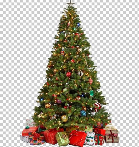 Christmas Tree 4k, Christmas Tree Transparent Background, Christmas Tree Png Free, Christmas Wallpaper Laptop Hd, Kuromi Christmas Wallpaper, Kids Christmas Wallpaper, Christmas Wallpaper Lock Screen, Christmas Png Images, Wallpaper Kuromi