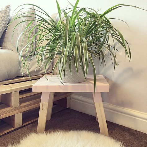 Diy Round Plant Stand, Diy Plant Stool, Plant Tables, Plant Stool, Ribbon Plant, Diy Stool, Indoor Greenery, India Home Decor, Mini Furniture