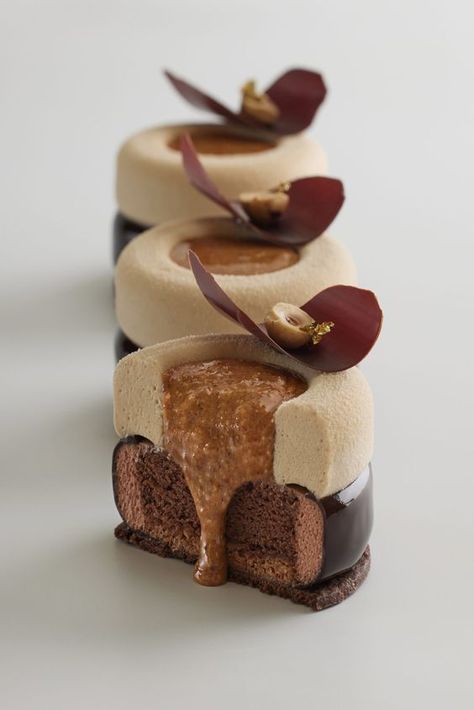 Mini Entremet, Entremet Recipe, Patisserie Design, Patisserie Fine, Fine Dining Desserts, Pastry Design, Cocoa Recipes, Gourmet Desserts, Creative Desserts