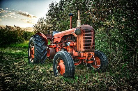 Old Tractor at Sunset | by Michael James Imagery Mode Country, Tractor Art, Tractor Photos, Country Backgrounds, Tractor Accessories, Old Tractor, Cafe Racer Build, Antique Tractors, Red Tractor