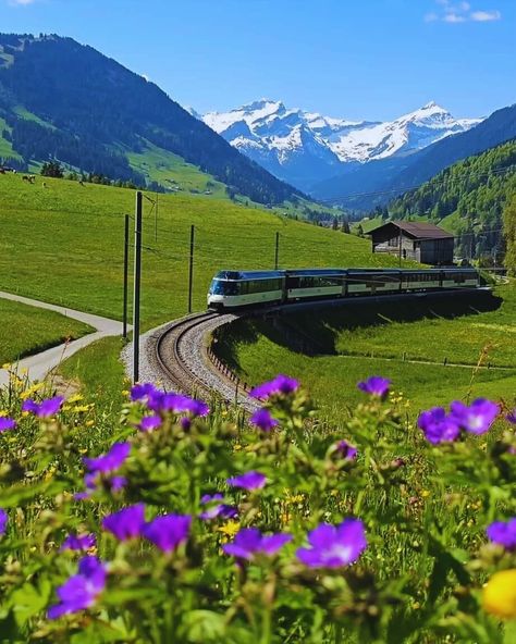 Beautiful Switzerland Switzerland Photography, Beautiful Switzerland, Awe Inspiring, Switzerland, Beautiful Places, Natural Beauty, Lake, Wonder, Exterior