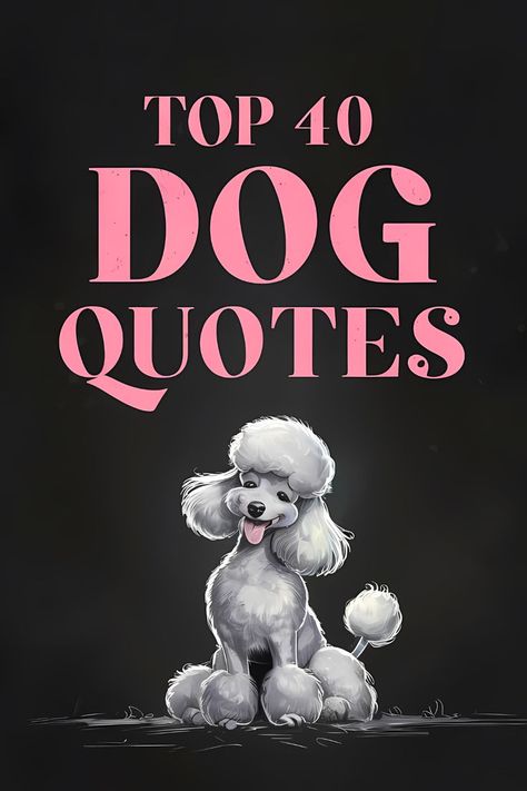 A beautiful poodle and the heading "Top 40 Dog Quotes" 40 Quotes, Marley And Me, Dog Lover Quotes, 40th Quote, Small Acts Of Kindness, Older Dogs, Dog Parents, Beyond Words, Canine Companions