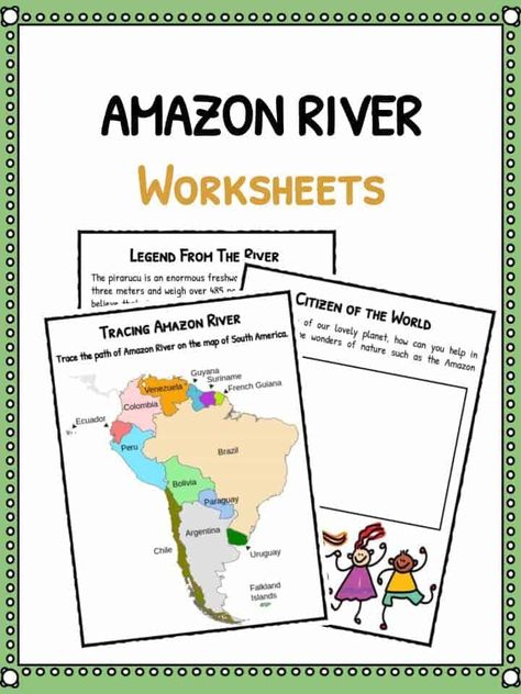 Amazon River Facts, Worksheets & Historical Information For Kids Rainforest Activities, River Dolphin, Amazon River, Slogan Making, Can You Help, Amazon Rainforest, Study Materials, School Work, Kindergarten Worksheets