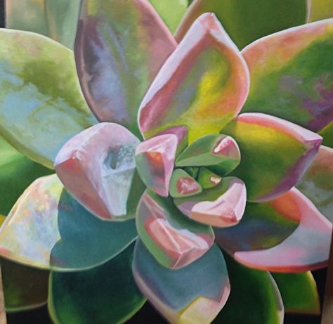 Creative Canvas Painting Ideas, Succulent Photography, Succulents Drawing, Giant Wall Art, Succulent Painting, Succulent Art, Cactus Painting, Painting Competition, Pastel Sec