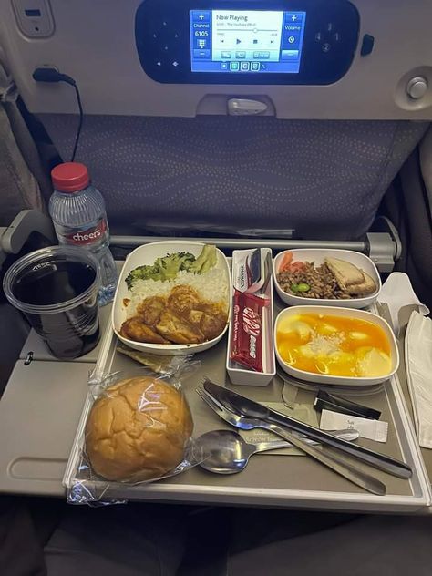 Emirates 777-300er, Emirates Economy, Dubai Flight, Economy Flight, Airline Meal, Dinner Photos, Emirates Flights, Eid Pics, 777 300er