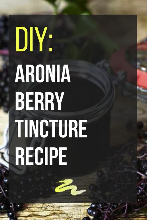 Aronia Berry Syrup, Chokeberry Recipes, Aronia Berry Recipes, Canning Applesauce, Aronia Berry, Keto Friendly Fruit, Elixir Recipe, Benefits Of Berries, Tinctures Recipes