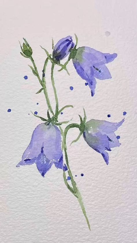 Blue Bell Painting, Painted Flowers Watercolor, Purple Flowers Watercolor Painting, Flower Watercolour Painting, Bellflower Drawing, Purple Flowers Drawing, Bluebell Painting, Purple Flower Drawing, Purple Campanula