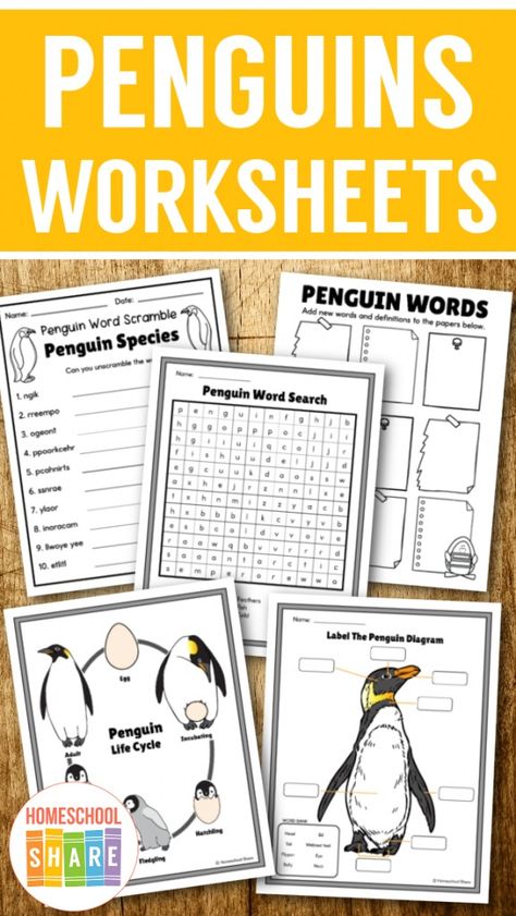 Penguin Worksheets (free printables!) - Homeschool Share Penguin Unit Study, Penguin Worksheets, Penguin Research, Penguin Life Cycle, Penguin Printable, Homeschool Science Lessons, Penguin Unit, Penguin Activities, Animal Studies