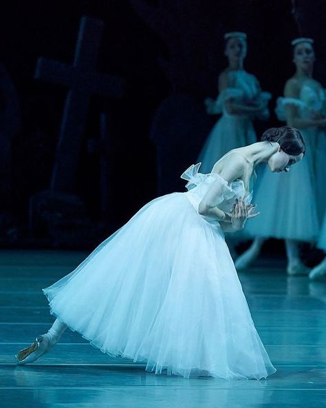 Famous Ballet Dancers, Mariinsky Ballet, Ballet Giselle, Ballet Beauty, Alvin Ailey, Bolshoi Ballet, Ballet Poses, Ballet Inspiration, Russian Ballet