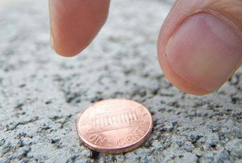 finding a coin on the ground - Google Search Finding Money On The Ground, College Requirements, Loan Payoff, Online Degree Programs, Financial Aid For College, Paying Off Student Loans, Education Degree, Silicate Minerals, Curriculum Development