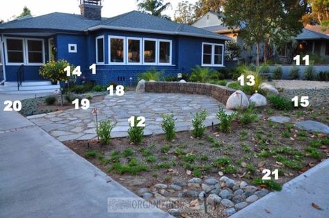 Homeowner 'goes native,' transforming her yard into drought-tolerant landscape Lawn Makeover, Drought Tolerant Landscape Front Yard, Desert Landscape Front Yard, Landscape Front Yard, Pretty Cactus, Drought Resistant Landscaping, Front Yard Plants, California Backyard, Garden Cactus