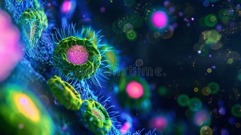 A fluorescent microscopy image showing the distribution of proteins and enzymes within a cell essential for its royalty free stock image Fluorescent Microscopy, Fluorescence Microscopy, Vector Flowers, A Cell, The Cell, Stock Images Free, Photo Image, Royalty, Royalty Free