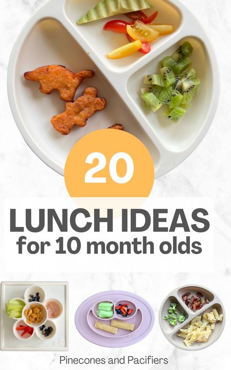 A list of 20 easy lunch ideas for 10 month olds from a mom of three! I'm sharing what my kids have eaten at 10 months old for some baby-led weaning and meal time inspriation. Easy baby led weaning and self-feeding baby food ideas, baby meal ideas, baby lunch ideas, baby-led weaning lunch. 10 Months Old Food Ideas, Baby Lunches For Daycare, 10 Months Food Ideas, Meals 10 Month Old, Lunch Idea For 12 Month Old, Meals For Ten Month Old, Table Food For 10 Month Old, Lunch Idea For 10 Month Old, 11 Month Old Lunch Ideas For Daycare