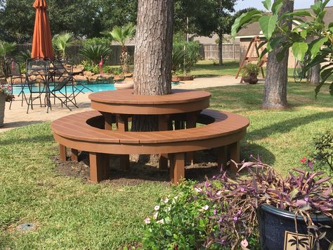 Seat Around Tree Trunk, Circle Bench Around Tree, Table Around Tree Trunk, Tree Sitting Area, Table Around Tree, Deck Around Trees, Bench Around Trees, Garden Sitting Areas, Tree Seat