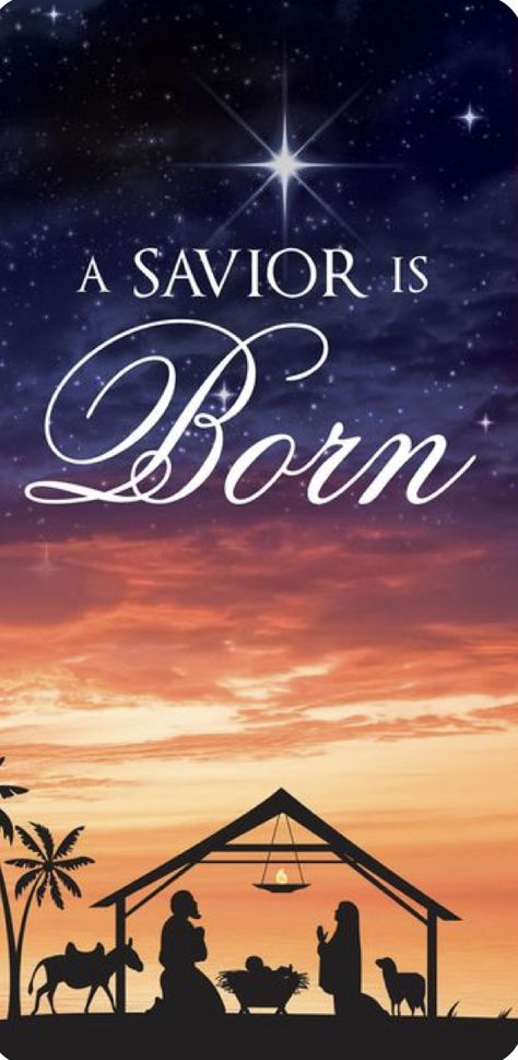 A Savior Is Born, Church Banner, Blessed Christmas, Christmas Scripture, Christmas Church, Church Banners, Christmas Blessings, Ayat Alkitab, Meaning Of Christmas