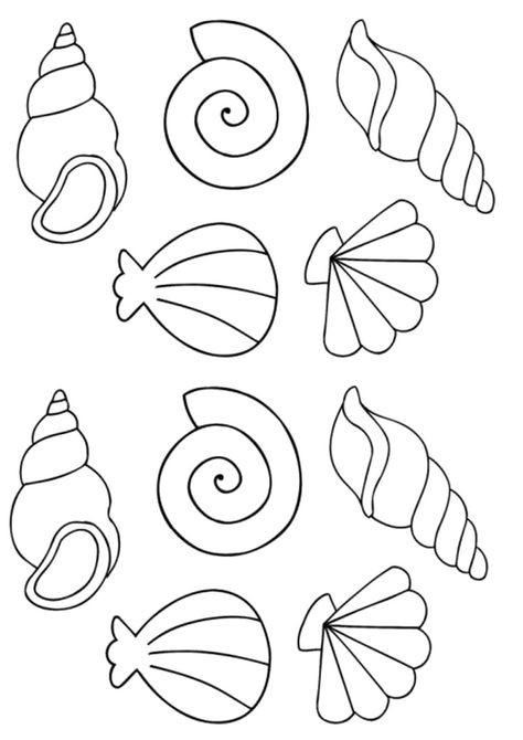 Queen Conch Shell Drawing, Easy Seashell Drawing, Sea Creatures To Draw, Sea Shell Template, Seashell Drawing Simple, Sea Shell Outline, Snail Shell Drawing, How To Draw Seashells, Seashell Template