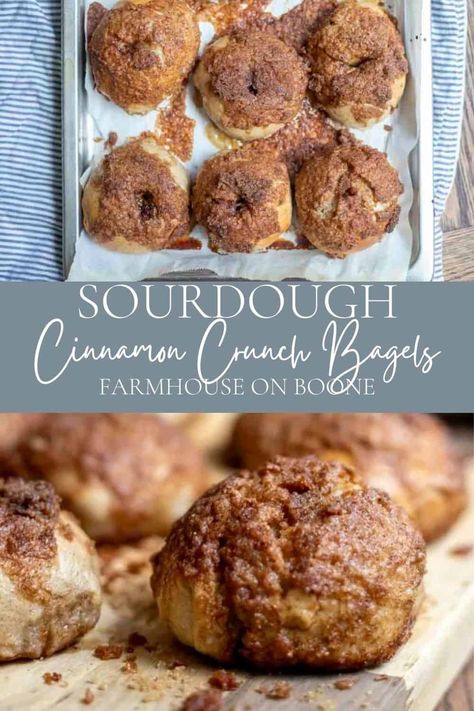 These sourdough cinnamon crunch bagels are a super delicious and possibly addicting breakfast or brunch. Chewy bagels topped with a cinnamon, brown sugar, and butter topping that is baked until caramelized and crunchy. Cinnamon Crunch Sourdough Bagels, Cinnamon Sugar Sourdough Bagels, S'more Sourdough Bread, Sourdough Cinnamon Crunch Bagels, Sourdough Cinnamon Bagels, Sourdough Discard Snack Recipes, Breakfast Sourdough Recipes, Sourdough Snacks For Kids, Recipes With Sourdough Bread