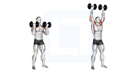 Shoulder Workouts, Dumbbell Workouts, Arnold Press, Dumbbell Workout, Shoulder Workout, Body Workout, Full Body Workout, Full Body, Muscles