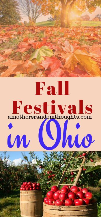 Fall Festivals In Ohio, Ohio Waterfalls, Ohio Getaways, Ohio Bucket List, Ohio Hiking, Ohio Vacations, Things To Do In Ohio, Fruit Farm, Ohio Travel