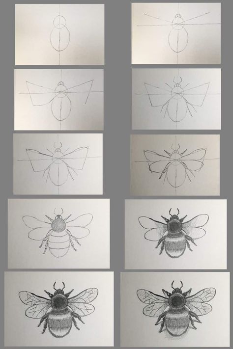 How to Draw Bumble Bee Step-by-Step Tutorial How To Draw A Bumblebee Step By Step, Drawing A Bee Step By Step, Doodle Art Step By Step How To Draw, How To Paint Bumble Bees, Bumble Bee Drawings, Pencil Art Drawings Easy Simple Step By Step, Step By Step Sketches For Beginners, How To Draw A Bee Step By Step, Bumblebee Drawing Easy