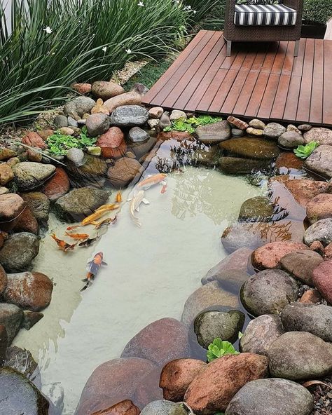 Kolam Ikan Aesthetic, Koi Fish Pond Backyard, Diy Gnome Garden, Gnome Garden Ideas, Koi Pond Ideas, Zen Pond, Fish Ponds Backyard, Small Backyard Ponds, Diy Ponds Backyard