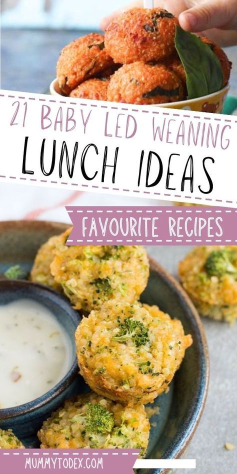 Blw Lunch, Baby Led Weaning Lunch Ideas, Baby Weaning Foods, Led Weaning Recipes, Baby Led Weaning First Foods, Baby Lunch, Baby Dinner, Weaning Foods, Baby Led Feeding