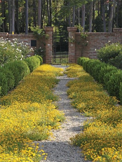 Landscaping Styles, Cloud Garden, Romantic Gardens, Colman Domingo, Walkways Paths, Driveway Entrance, Planting Design, Path Ideas, Path Design