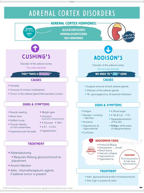 Endocrine Nursing, Endocrine Pharmacology Nursing, Endocrine Nursing Cheat Sheets, Musculoskeletal Disorders Nursing, Endocrine Disorders Nursing, Hematology Disorders Nursing, Charting For Nurses, Nursing School Studying Cheat Sheets, Studie Hacks