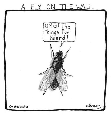 Ever Wished You Could be a Fly on the Wall? (For Designers Only) Humour, Fly On The Wall, A Thought, Wall Print, Bones Funny, Make Me Smile, Favorite Quotes, The Wall, I Laughed