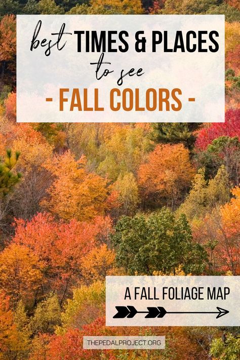 Best Places To See Fall Foliage, Best Fall Foliage Trips, East Coast Fall Foliage Trip, Acadia Fall, Fall Foliage Map, Rv Tour, Fall Foliage Trips, Fall Foilage, Fall Foliage Road Trips