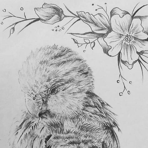 Nicol Roba on Instagram: "Little floof 🐦 Reference @freyaeverafter_ 's Willow . . #drawing #draw #pendrawing #ballpointpen #grey #bird #birb #flowers #flower #flowerdrawing #pet #petdrawing #inkdrawing #artist #art #artistsoninstagram #inkart #beautiful #portrait #sketch #tattoo #tattooideas #parrotlet #parrot #birddrawing #realistic #realisticdrawing" Parrotlet Tattoo, Willow Drawing, Grey Bird, Sketch Tattoo, Pets Drawing, Birds Tattoo, Bird Drawings, Realistic Drawings, Pen Drawing