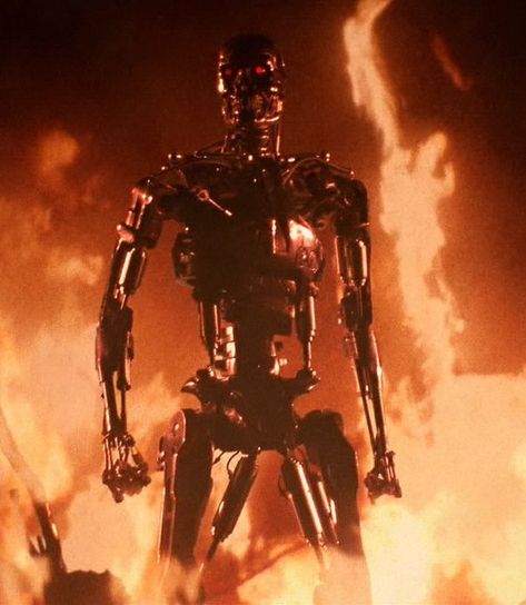 Terminator 1984, Terminator Movies, Terminator Genisys, Fall Out 4, Red Zone, That Moment When, All Movies, Arnold Schwarzenegger, Movie Photo