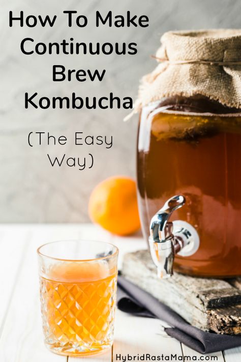 Continuous Brew Kombucha, Diy Kombucha, Make Kombucha, Kombucha Flavors, Kombucha Scoby, How To Brew Kombucha, Kombucha Recipe, Homemade Kombucha, Fermented Tea