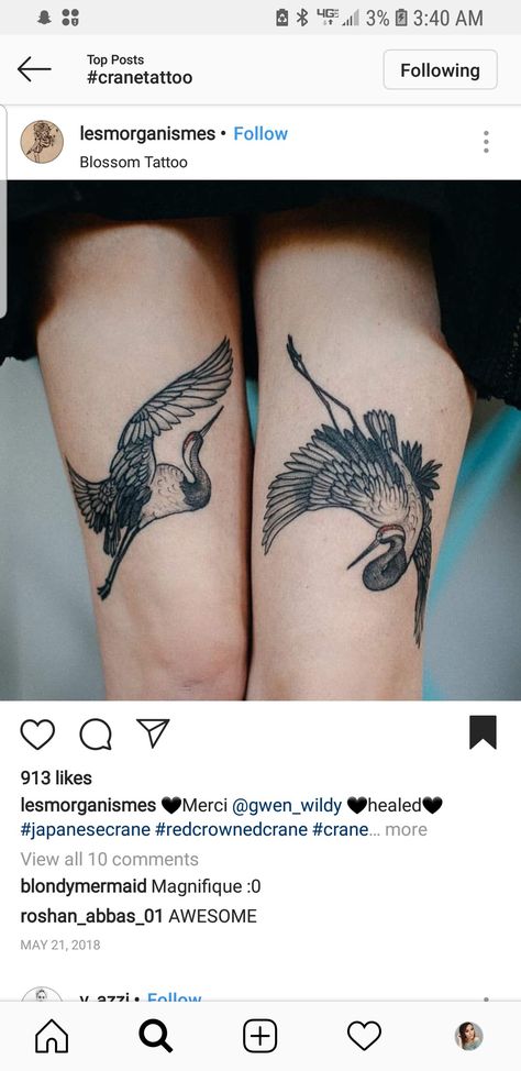 Crane Wife Tattoo, Sandhills Crane Tattoo, Dancing Crane Tattoo, Crane Leg Tattoo, Korean Crane Tattoo, Whooping Crane Tattoo, Two Cranes Tattoo, Crane Tattoo Back, Chinese Crane Tattoo