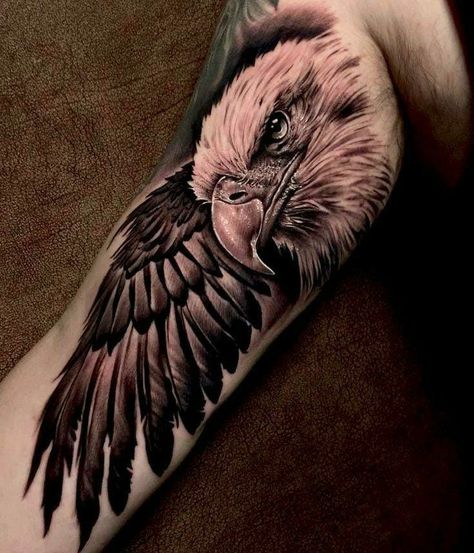 Eagle Tattoo Forearm, Inside Bicep Tattoo, Eagle Wing Tattoos, Eagle Head Tattoo, Inside Of Arm Tattoo, Animal Tattoos For Men, Bicep Tattoo Men, Inner Bicep Tattoo, Lion Head Tattoos